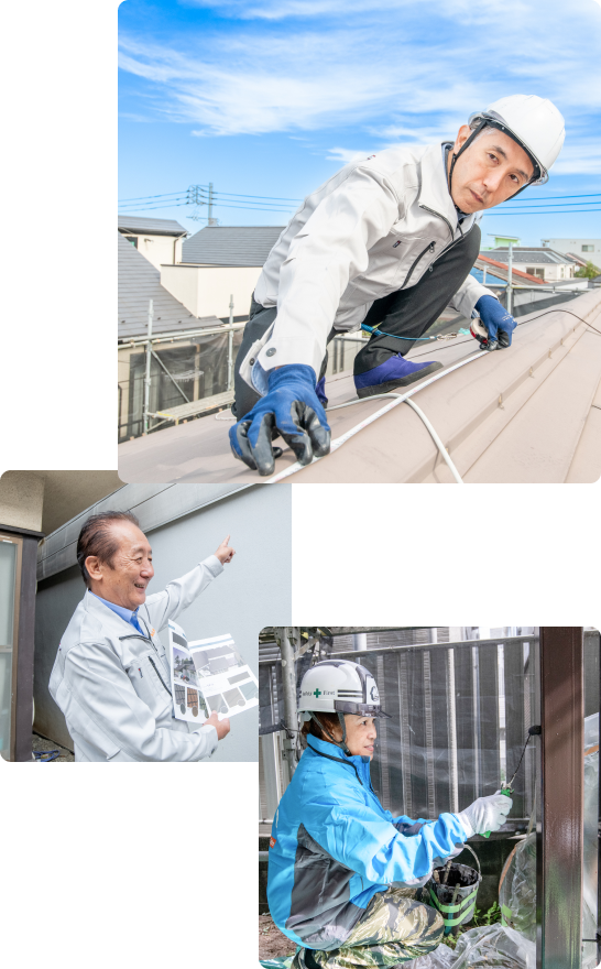 現地調査の様子