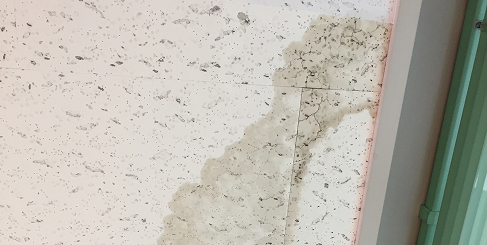 雨漏りしている天井