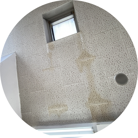 天窓から雨漏りしている